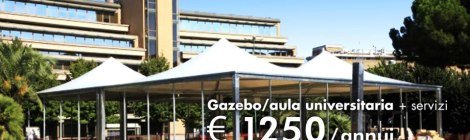 Link Coordinamento Universitario dà la sua versione della decisione di Frati